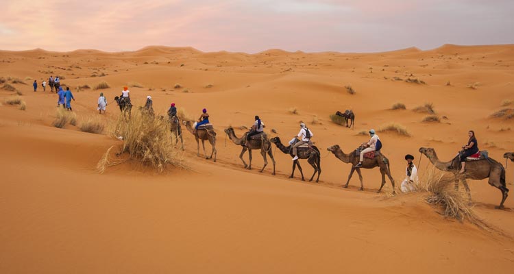Desert Adventure Tour